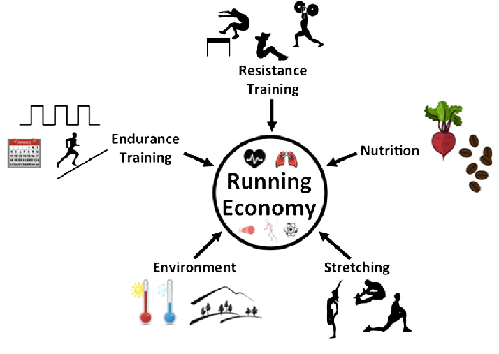 fig-1-schematic-of-strategies-to-improve-running-economy-applied